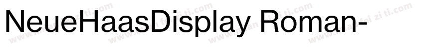 NeueHaasDisplay Roman字体转换